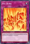 Edison Rulings for Big Burn